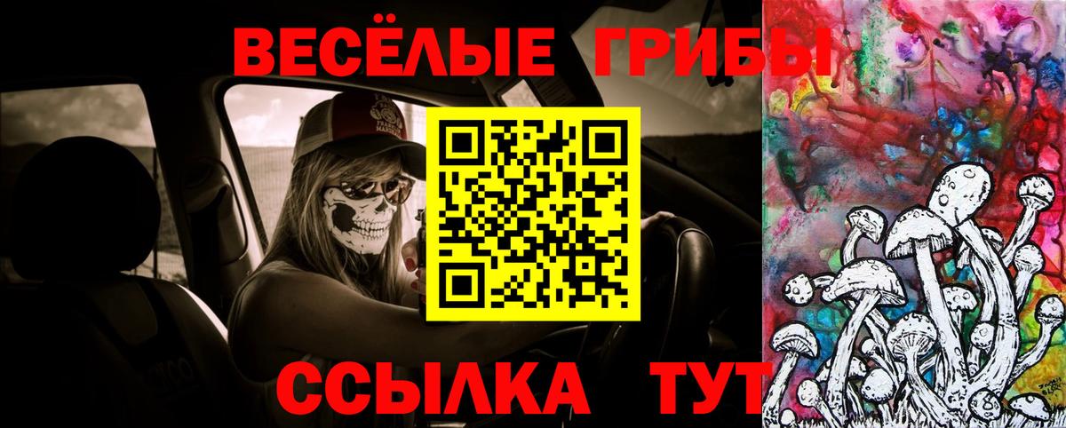 Галлюциногенные грибы MAGIC MUSHROOMS  Вход с VPN  Саров 